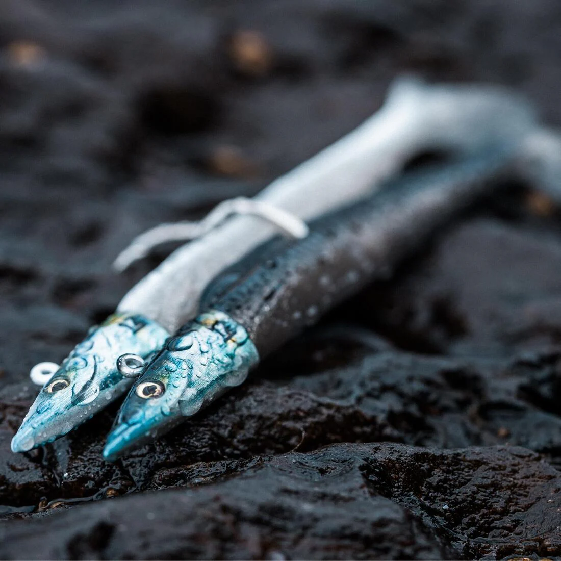 Miniature 5