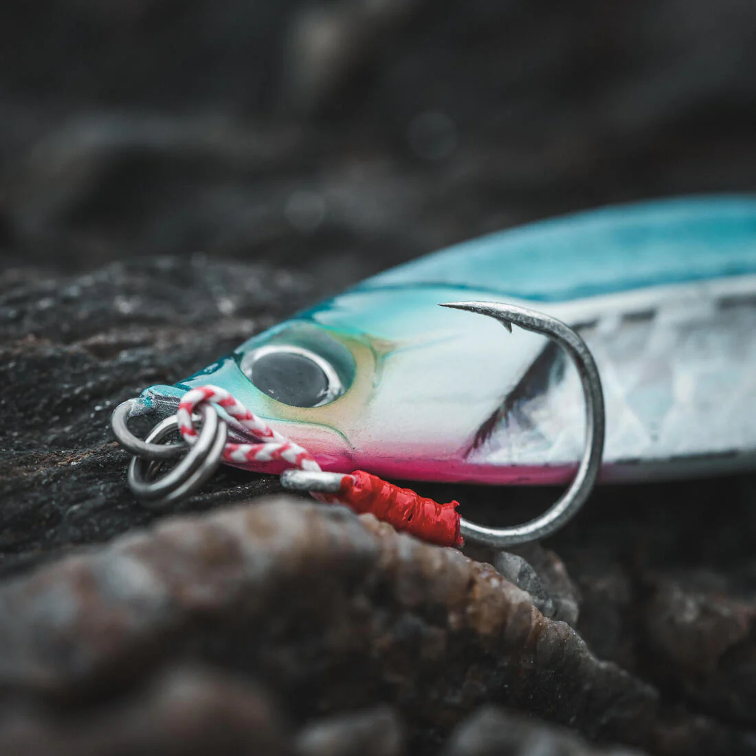 Miniature 5